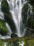 Small Waterfall Near the Milford Track on New Zealands South Island