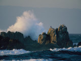 The Oregon Coast