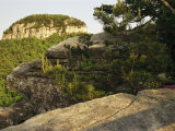 View of the Pinnacle of Pilot Mountain from the Sassafras Trail