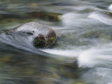 Water Swirls Around a Rock