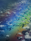 Scattered Puffy Clouds Cast Their Shadow on the Pacific Ocean Below