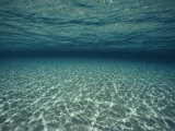 Underwater View
