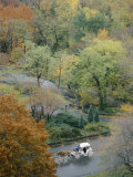 Aerial View of a Horse-Drawn Carriage in Central Park