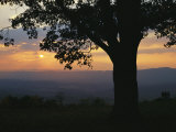 Sunset and Silhouetted Oak Tree over the Shenandoah Valley  Dickeys Ridge Visitors Center