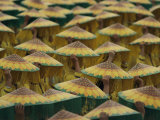 Parade Participants Cover Their Heads with Coolie Hats Painted to Look Like Sunflowers