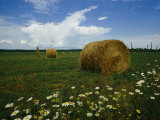 Hay Farm in Michigans Upper Peninsula