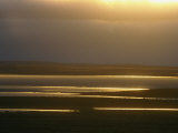 Marsh Ponds at Twilight