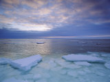 View of the Freshly Frozen Hudson Bay Coastline Dotted with Ice Floes