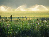 Farm Scene West of Chiloguin  Oregon