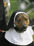Pet Dog Dressed as a Nun during a Halloween Celebration