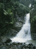A Waterfall in the Tropical Rainforest El Yunque Park in Puerto Rico