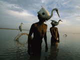 Mohanis Fishermen Catch Herons in the Indus River