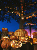 Grinning Lit Jack-O-Lanterns Surrounding and Filling a Tree