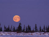 An Orange Full Moon Rises over a Snowy Landscape