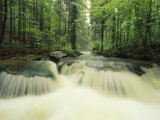 Waterfall Time Exposure  Bayerischer Wald National Park  Germany