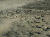 Aerial View of Hundreds of Motorcyclists Racing Across the Mojave Desert