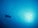 A Diver Carrying Lights Swims Through Blue  Sunlit Water