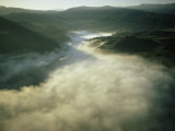 An Aerial View of a Fog-Filled Valley on the Monterey Peninsula