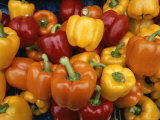 Red  Orange and Yellow Bell Peppers on Display in a Venice Market