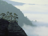 Early Morning Fog Rises over the Elbe River in Elbsandstein Region