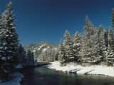 Madison River  Gallatin National Forest  Montana