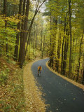 Biker on Road Amidst Fall Foliage