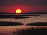 Sunset over Chincoteague Island Marsh  Virginia