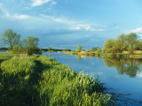 Marshlands in Spring  Unteres Odertal National Park  Germany