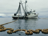 A Fishing Boat with a Large Net in the Water