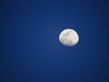 Three-Quarter Moon over Ranthambhore National Park