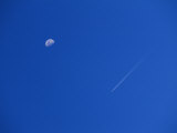 View of the Sky with the Moon and a Vapor Trail from a Passing Jet