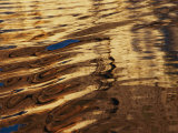 Reflections Glisten in Flowing Water