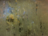 Condensation on a Window Pane Abstracts Outside Autumn Foliage Colors