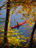 Woman Kayaking with Fall Foliage  Potomac River  Maryland