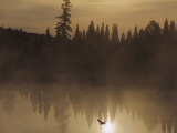 A Bird Flies Low over Fog-Shrouded Lake Superior
