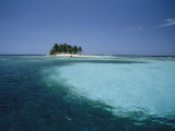 Blue Ocean Waters with a Palm-Covered Island at Silk Cay  Belize