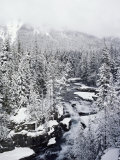 Winter View of Mcdonald Creek