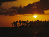 Silhouetted Palm Trees and Sun Behind Clouds at Twilight