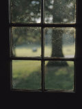 A Museum Window at Fort Frederick