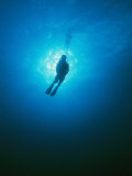 A Diver Descends into the Caribbean