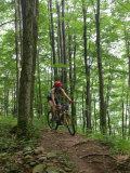 A Woman Rides a Mountain Bike on Props Run  a Single Track Trail
