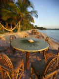 Seashell and Palm Leaves on a Table and Chairs on a Beach with Palms