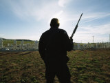 An Armed Guard Watches Over Inmates Working on a Chain Gang