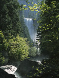 Vernal Fall Seen Through Lush Spring Foliage in Woodland Setting