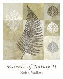 essence of nature