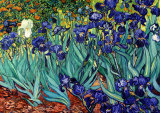 Irises  Saint-Remy  c1889