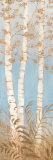 Birch Woods I