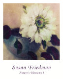 Nature's Blossoms I