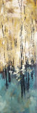 Nature's Abundance II
