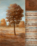 Autumn Aire II